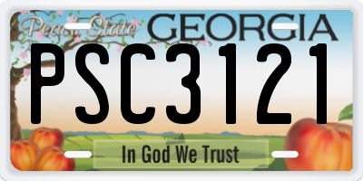 GA license plate PSC3121
