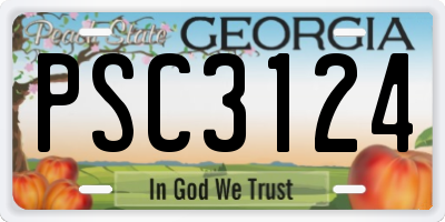 GA license plate PSC3124