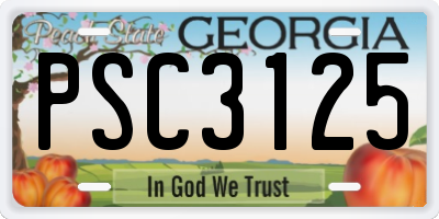 GA license plate PSC3125