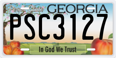 GA license plate PSC3127