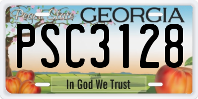 GA license plate PSC3128