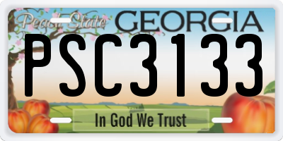GA license plate PSC3133