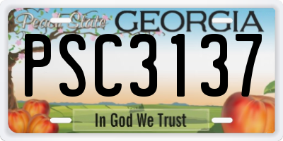 GA license plate PSC3137