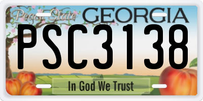 GA license plate PSC3138
