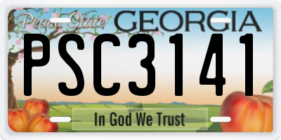 GA license plate PSC3141