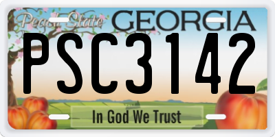 GA license plate PSC3142