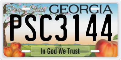 GA license plate PSC3144
