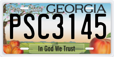 GA license plate PSC3145