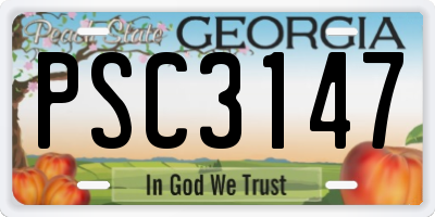 GA license plate PSC3147