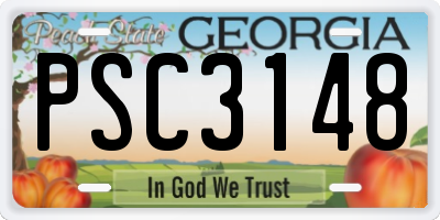 GA license plate PSC3148
