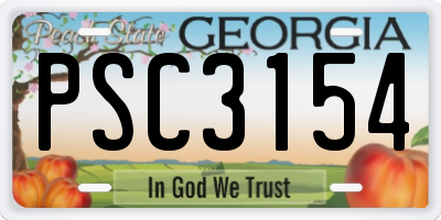 GA license plate PSC3154