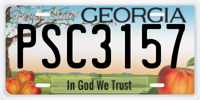 GA license plate PSC3157