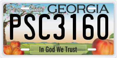 GA license plate PSC3160