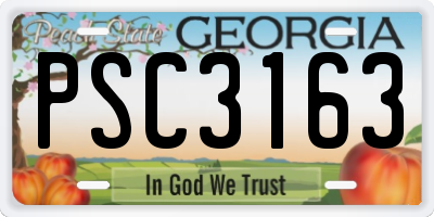 GA license plate PSC3163