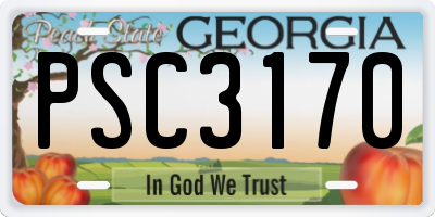 GA license plate PSC3170