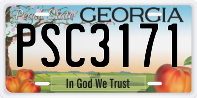 GA license plate PSC3171