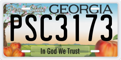 GA license plate PSC3173
