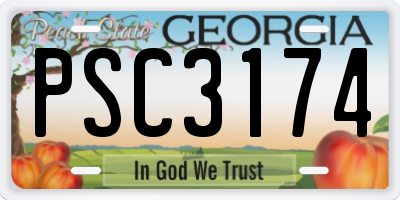 GA license plate PSC3174