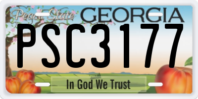 GA license plate PSC3177