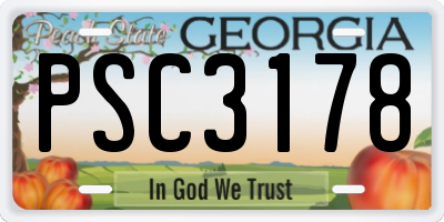 GA license plate PSC3178