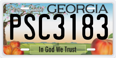 GA license plate PSC3183