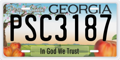 GA license plate PSC3187