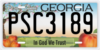 GA license plate PSC3189