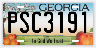 GA license plate PSC3191