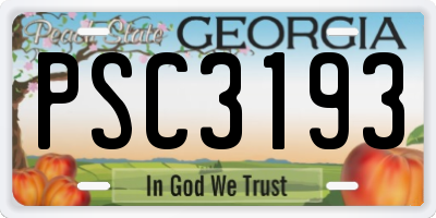 GA license plate PSC3193