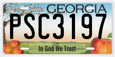 GA license plate PSC3197