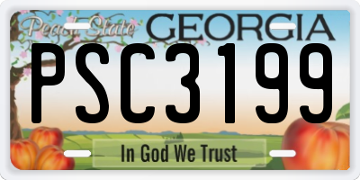 GA license plate PSC3199