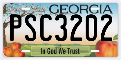 GA license plate PSC3202