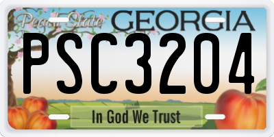 GA license plate PSC3204