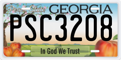 GA license plate PSC3208