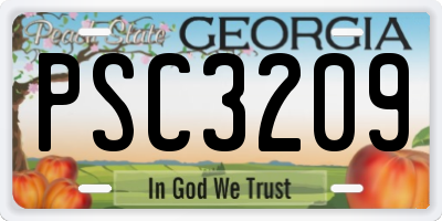 GA license plate PSC3209