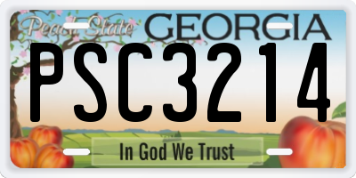 GA license plate PSC3214
