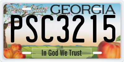 GA license plate PSC3215
