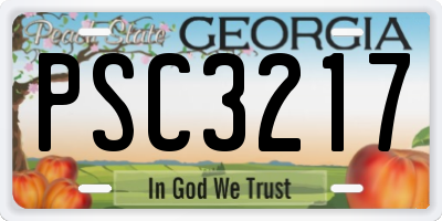 GA license plate PSC3217