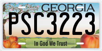 GA license plate PSC3223