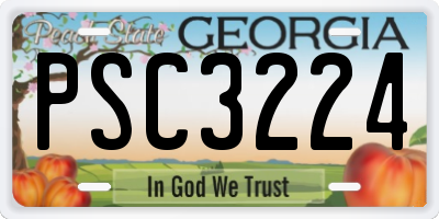GA license plate PSC3224