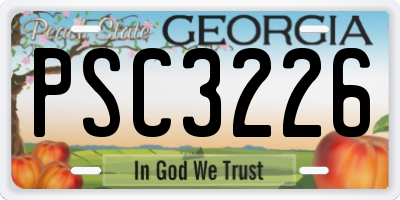 GA license plate PSC3226