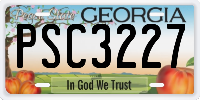 GA license plate PSC3227