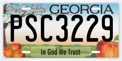 GA license plate PSC3229