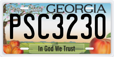 GA license plate PSC3230