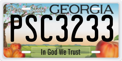 GA license plate PSC3233