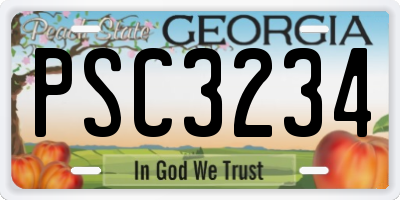 GA license plate PSC3234