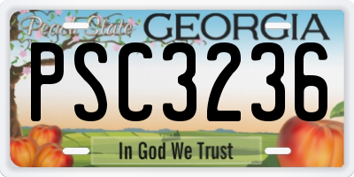 GA license plate PSC3236