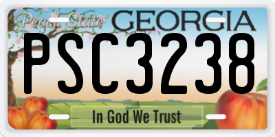 GA license plate PSC3238