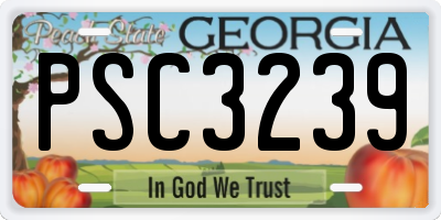 GA license plate PSC3239