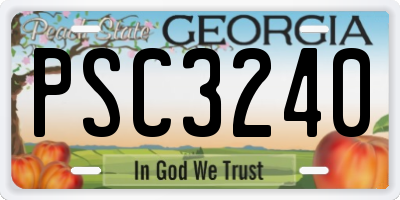 GA license plate PSC3240